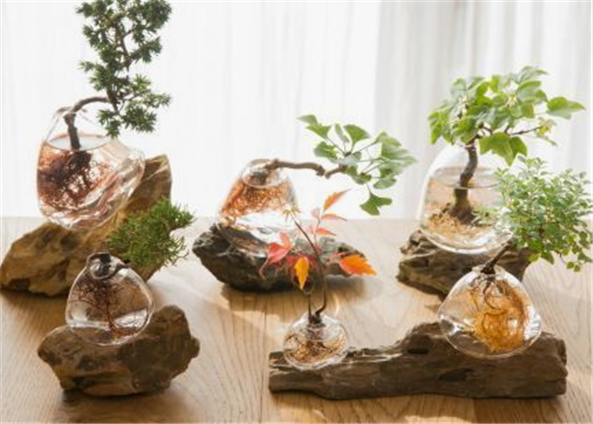 都市生活，早安 • 綠植|軟裝設計