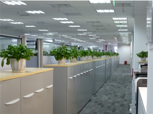 軟裝設計|辦公室綠植的擺放 軟裝設計|辦公室綠植的擺放